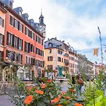 Le Cosy Du Theatre, Duplex Confortable Au Centre De Chambery