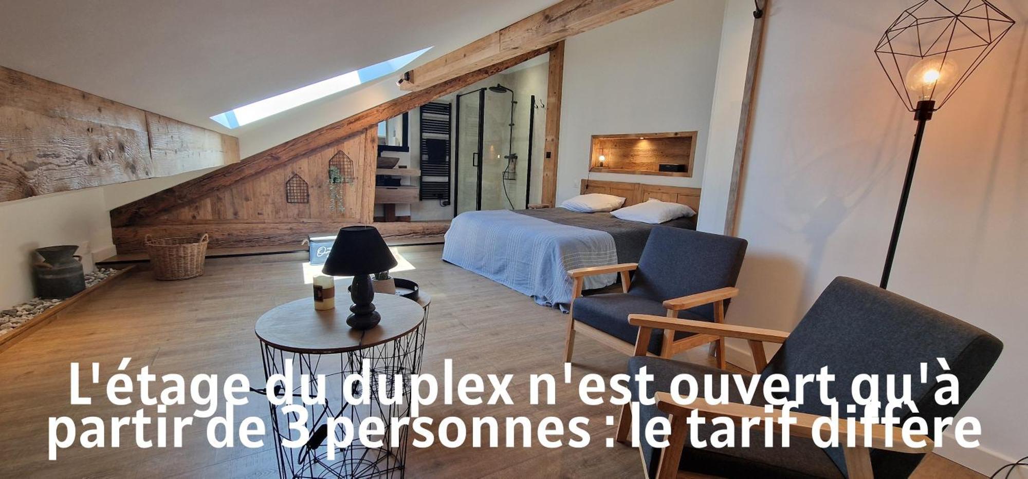 Le Cosy Du Theatre, Duplex Confortable Au Centre De Appartement *